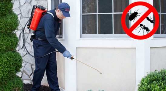 Bor Kene İlaçlama böcek ilaçlama ve haşere kontrolü — ilaclama-tr.com